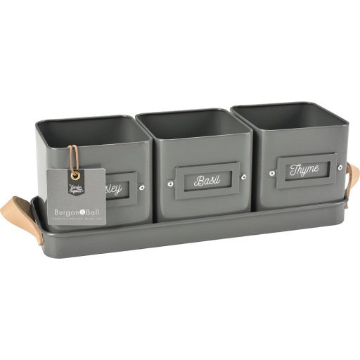 3 Herb Pots in a Leather Handled Tray - Charcoal - - TORA Gardens