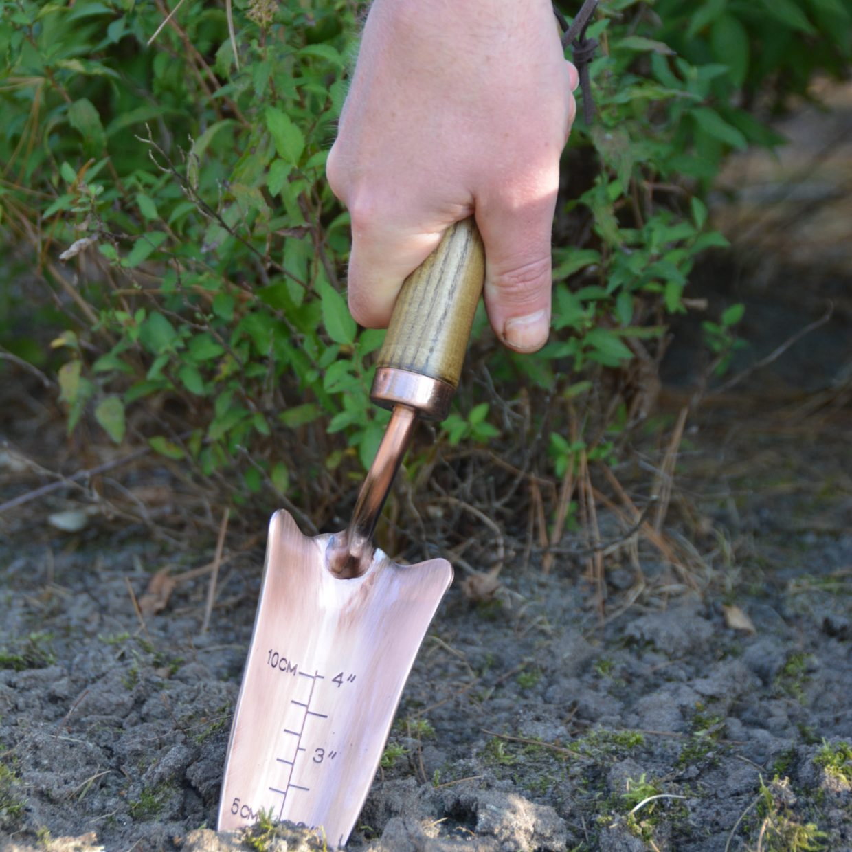 Copper Plated Shovel - - TORA Gardens