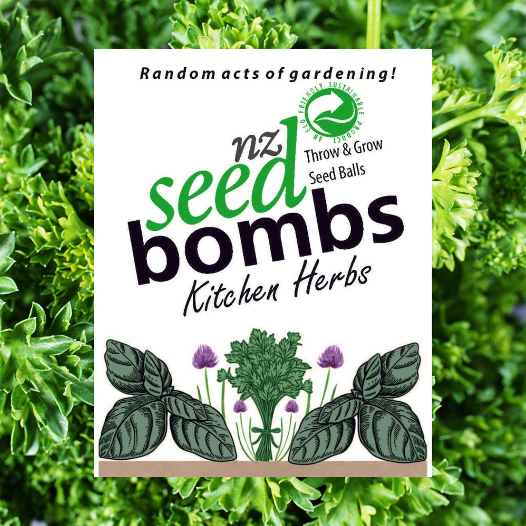 NZ Seed Bomb - Kitchen Herbs - - TORA Gardens