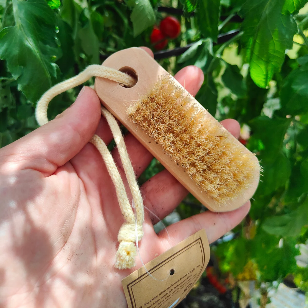 Nail Brush on Rope - - TORA Gardens