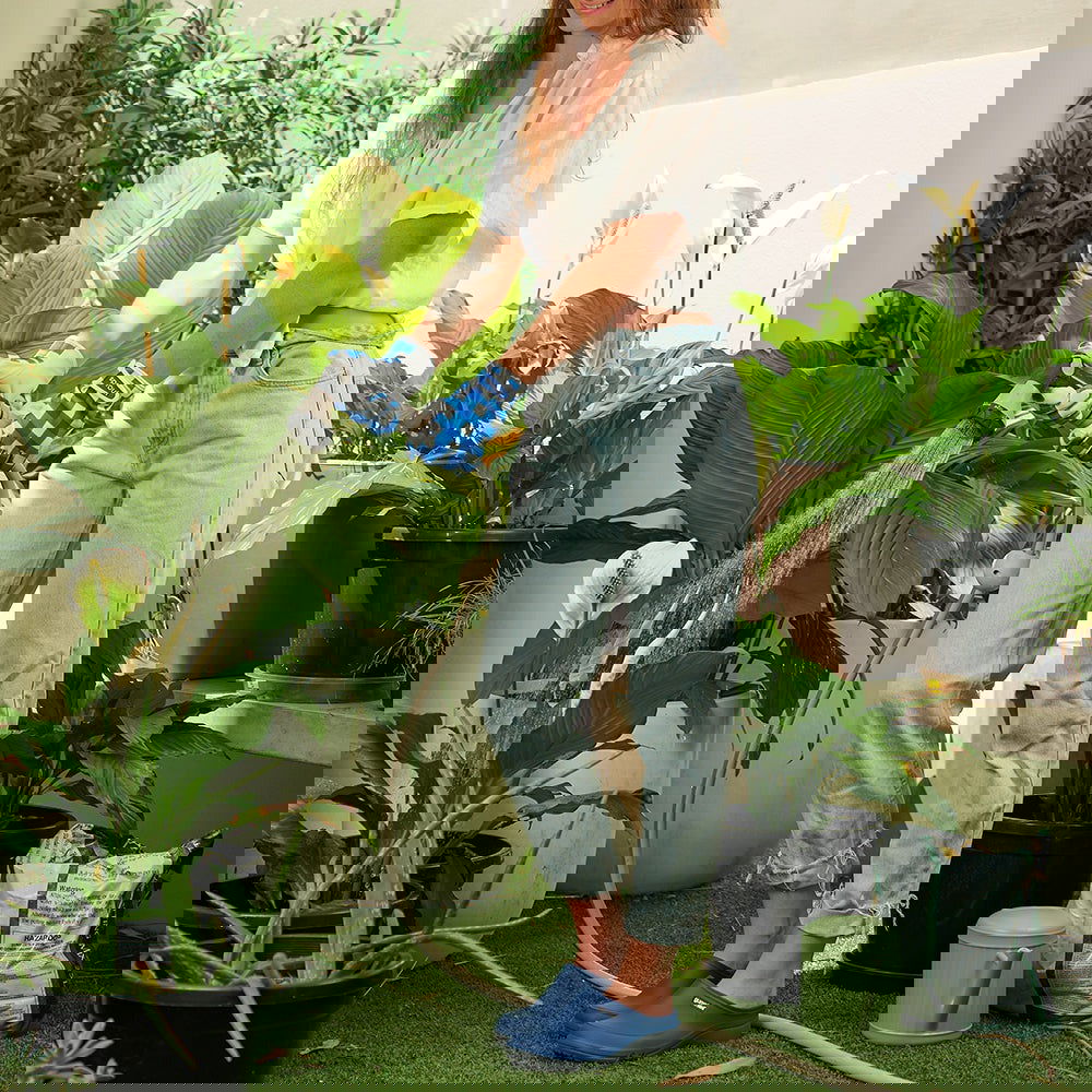 SPROUT Goat Skin Gloves Cobalt Check - - TORA Gardens