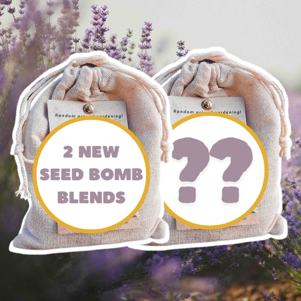 Mystery Seed Bomb Duo Bundle 🌸