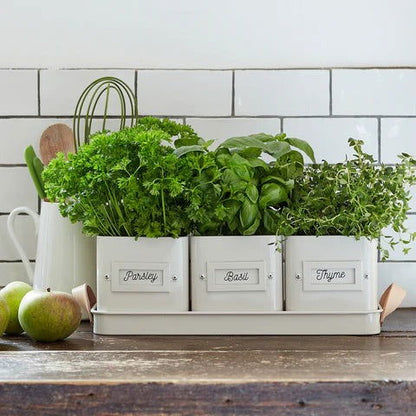 3 Herb Pots in a Leather Handled Tray - Stone - TORA Gardens 