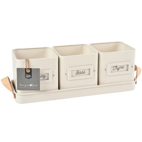 3 Herb Pots in a Leather Handled Tray - Stone - TORA Gardens 