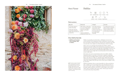 Secrets from the Flower Farm