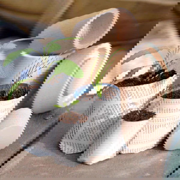Burgon & Ball Paper Pot Maker -  - TORA Gardens 