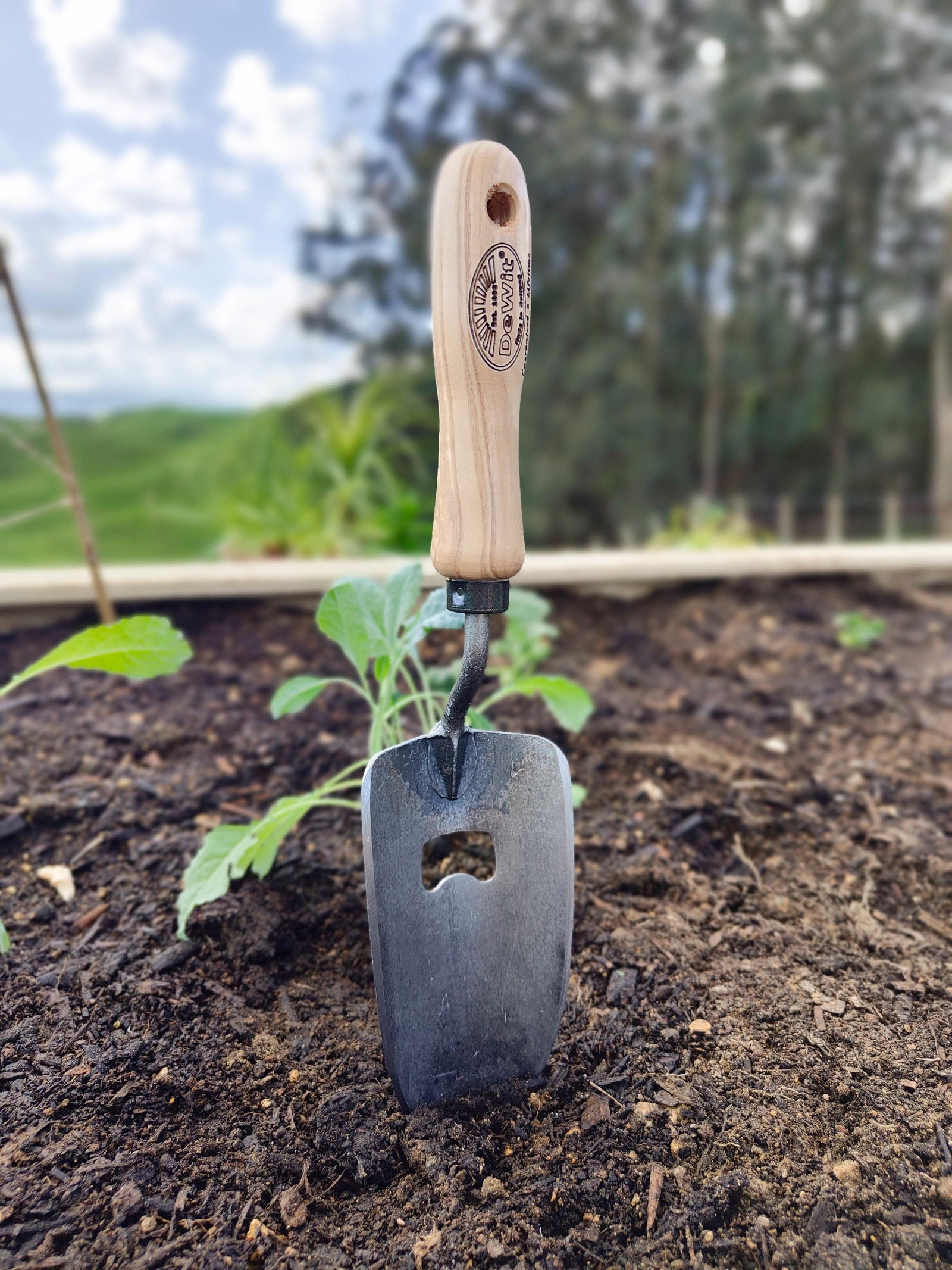 DeWit Bottle Opener Trowel -  - TORA Gardens 