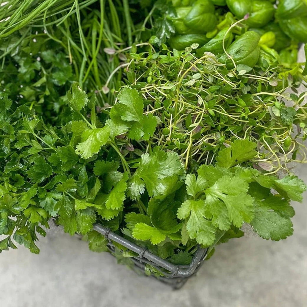 Thyme to Grow Herbs Grow Kit