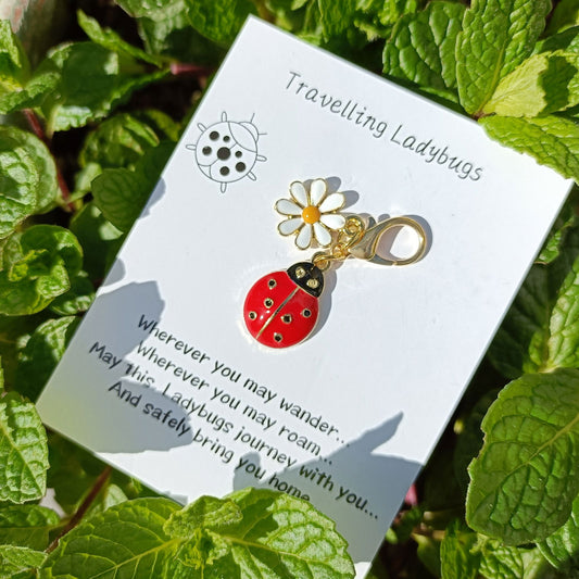 🐞 Ladybug & Daisy Clip Charm -  - TORA Gardens 