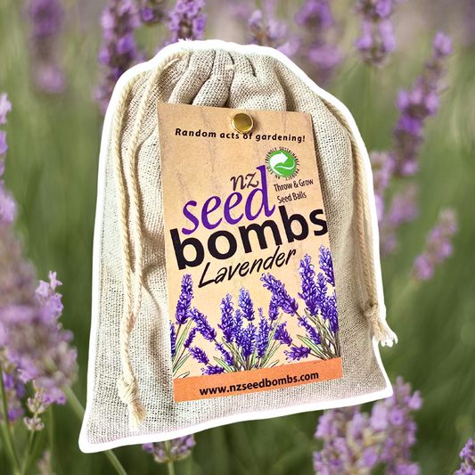 NZ Seed Bomb - Lavender - TORA Gardens 