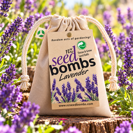 NZ Seed Bomb - Lavender - TORA Gardens 