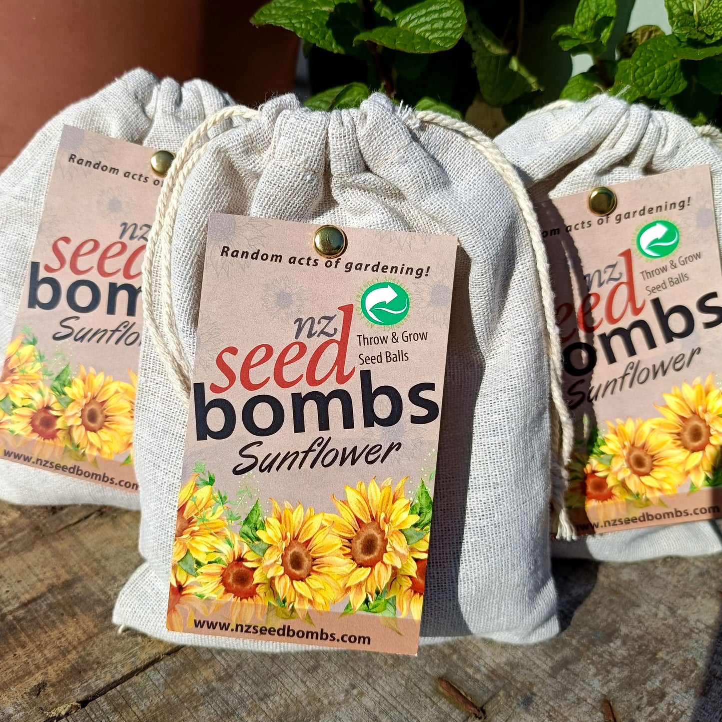 NZ Seed Bomb - Sunflower -  - TORA Gardens 
