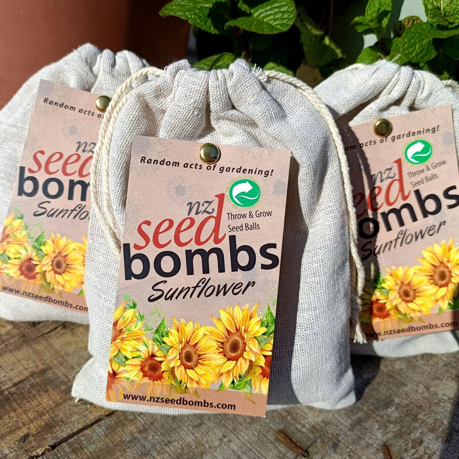NZ Seed Bomb - Sunflower -  - TORA Gardens 