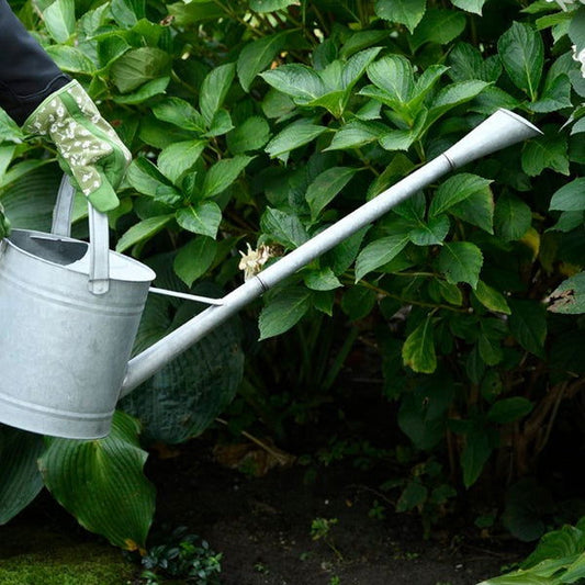 Old Zinc Watering Can Extra Long Spout -  - TORA Gardens 