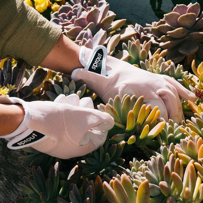 SPROUT Goatskin Gloves  Crystal Pink -  - TORA Gardens 