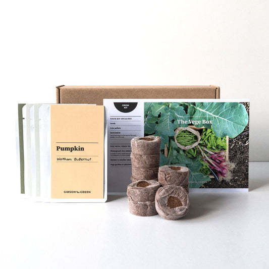 The Vege Box Grow Kit