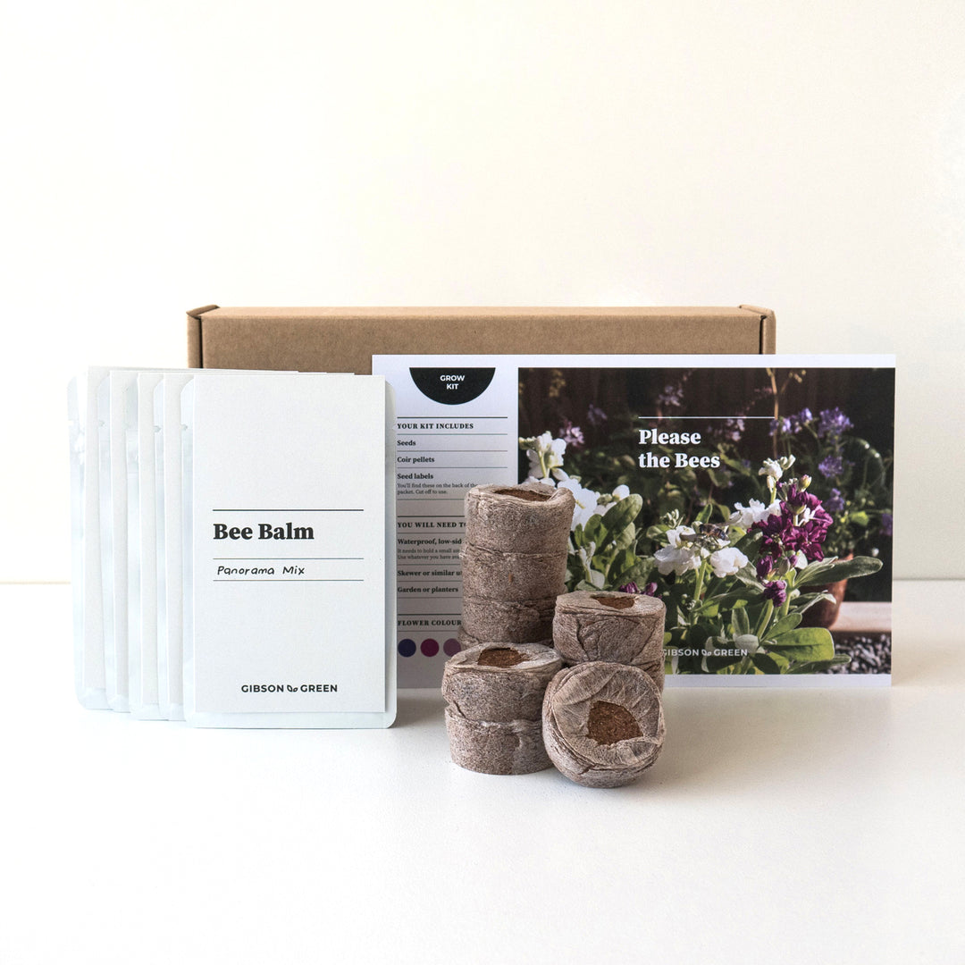 Please the Bees Grow Kit