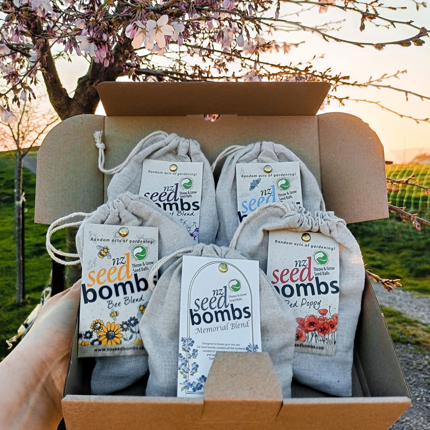Spring Colours 💐🌈 5 Blend Bundle -  - TORA Gardens 