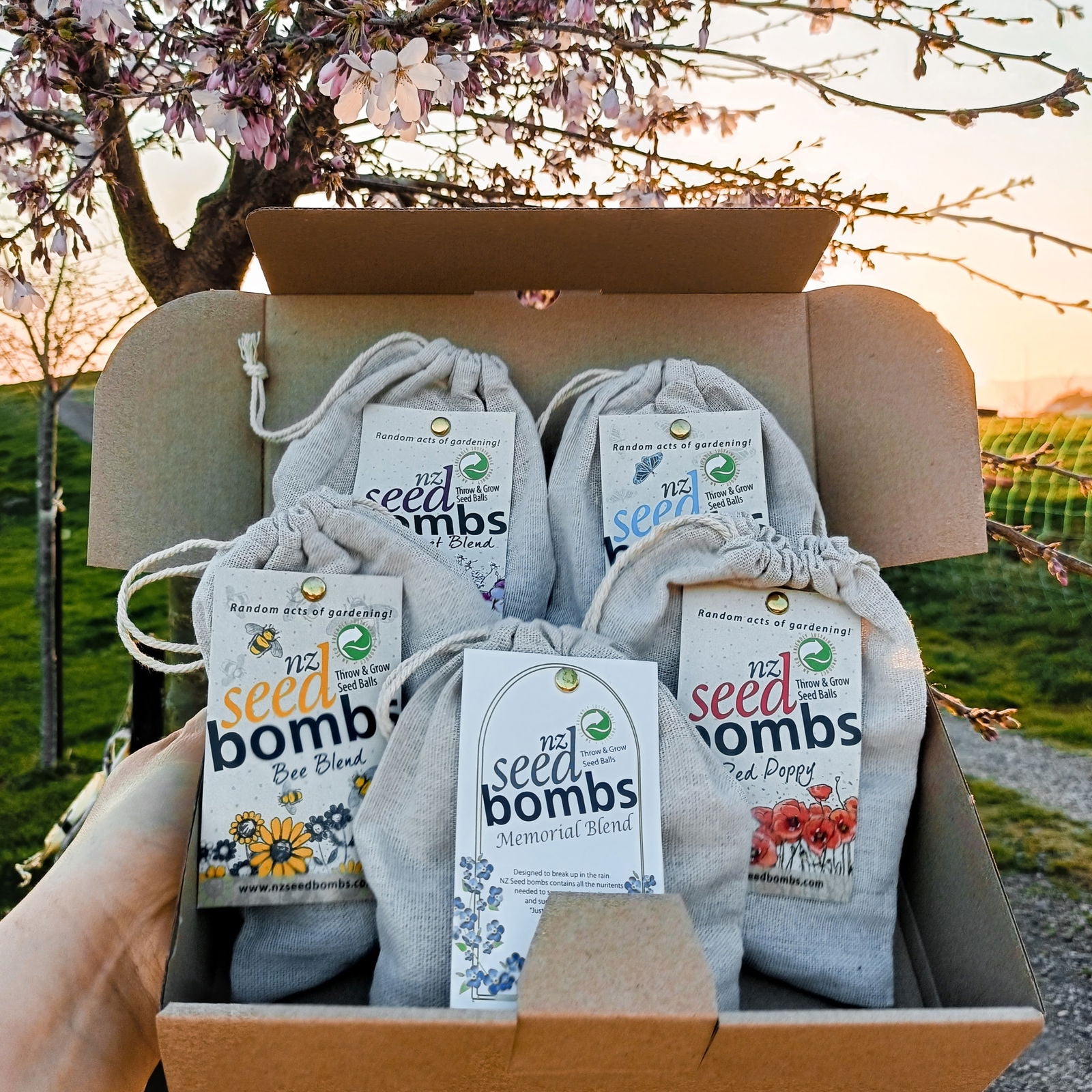 Spring Colours 💐🌈 5 Blend Bundle -  - TORA Gardens 