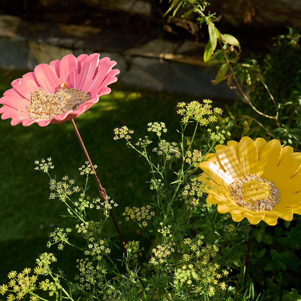 Sunflower Bird bath - TORA Gardens 