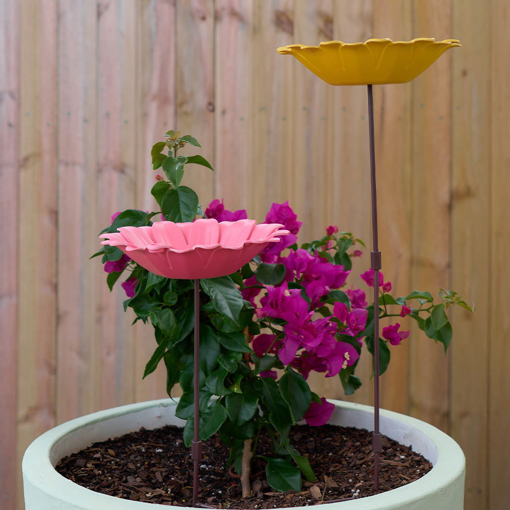 Sunflower Bird bath - TORA Gardens 