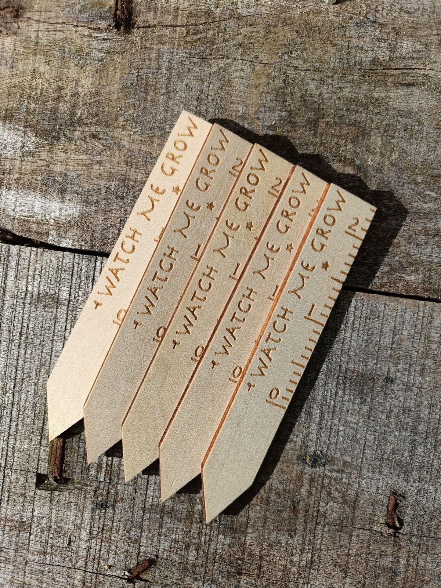 Watch Me Grow Plant Labels - 5 Pack 🌱 -  - TORA Gardens 
