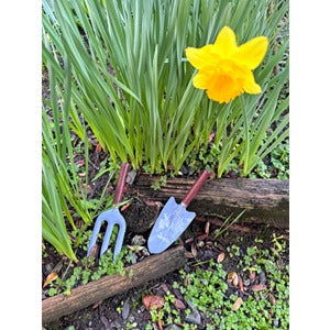 Wild Flower Tool Gift Set - Blue - TORA Gardens 