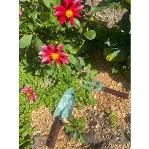 Wild Flower Tool Gift Set - Green - TORA Gardens 