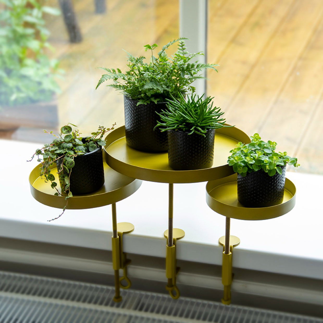 Windowsill Clamp Gold - Large -  - TORA Gardens 