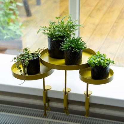 Windowsill Clamp Gold - Large -  - TORA Gardens 