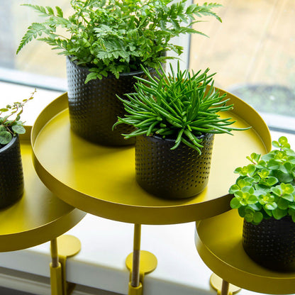 Windowsill Clamp Gold - Large -  - TORA Gardens 