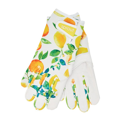 SPROUT Goat Skin Gloves Amalfi Citrus